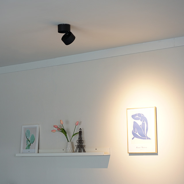 로사 LED 일체형 12W 직부등 벽등 주방조명 인테리어조명_2color