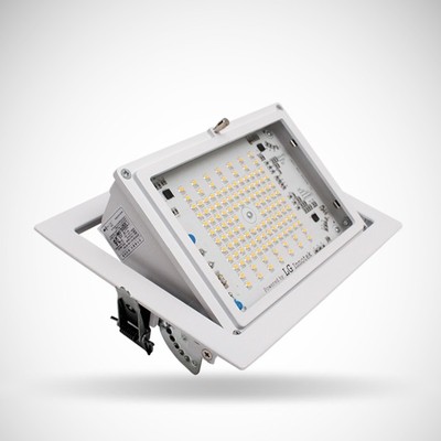 LED 투광기 매입형 35W PL
